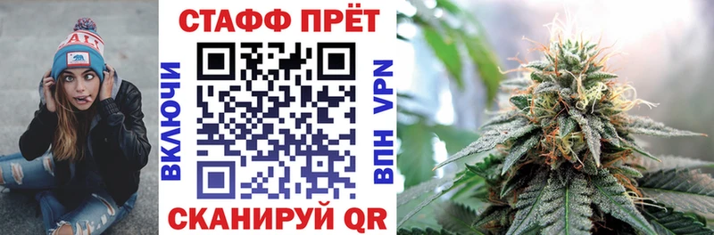 Купить закладку Галлюциногенные грибы  КЕТАМИН  Меф мяу мяу  ГАШ  COCAIN  Ногинск
