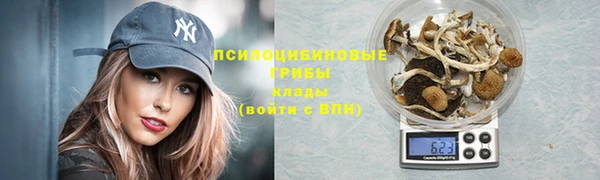 герыч Зерноград