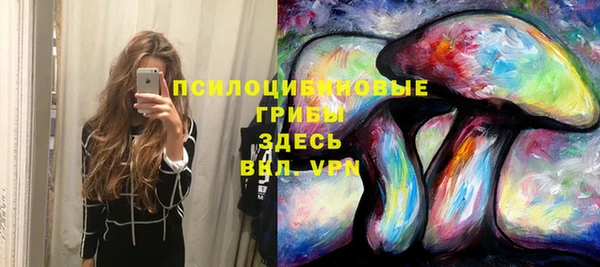 герыч Зерноград