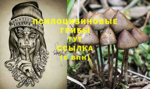 герыч Зерноград