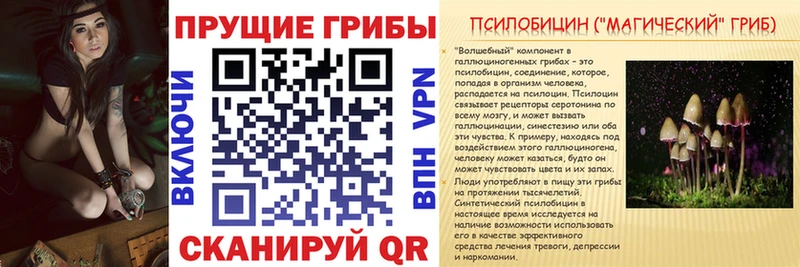 Купить  Ногинск  Псилоцибиновые грибы Psilocybine cubensis 